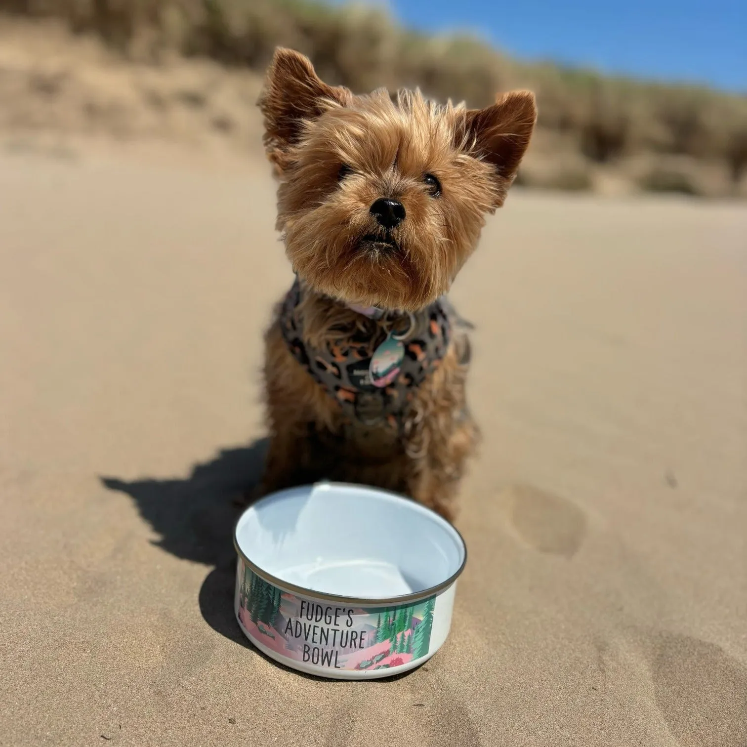 Adventure Awaits - Personalised Enamel Pet Bowl