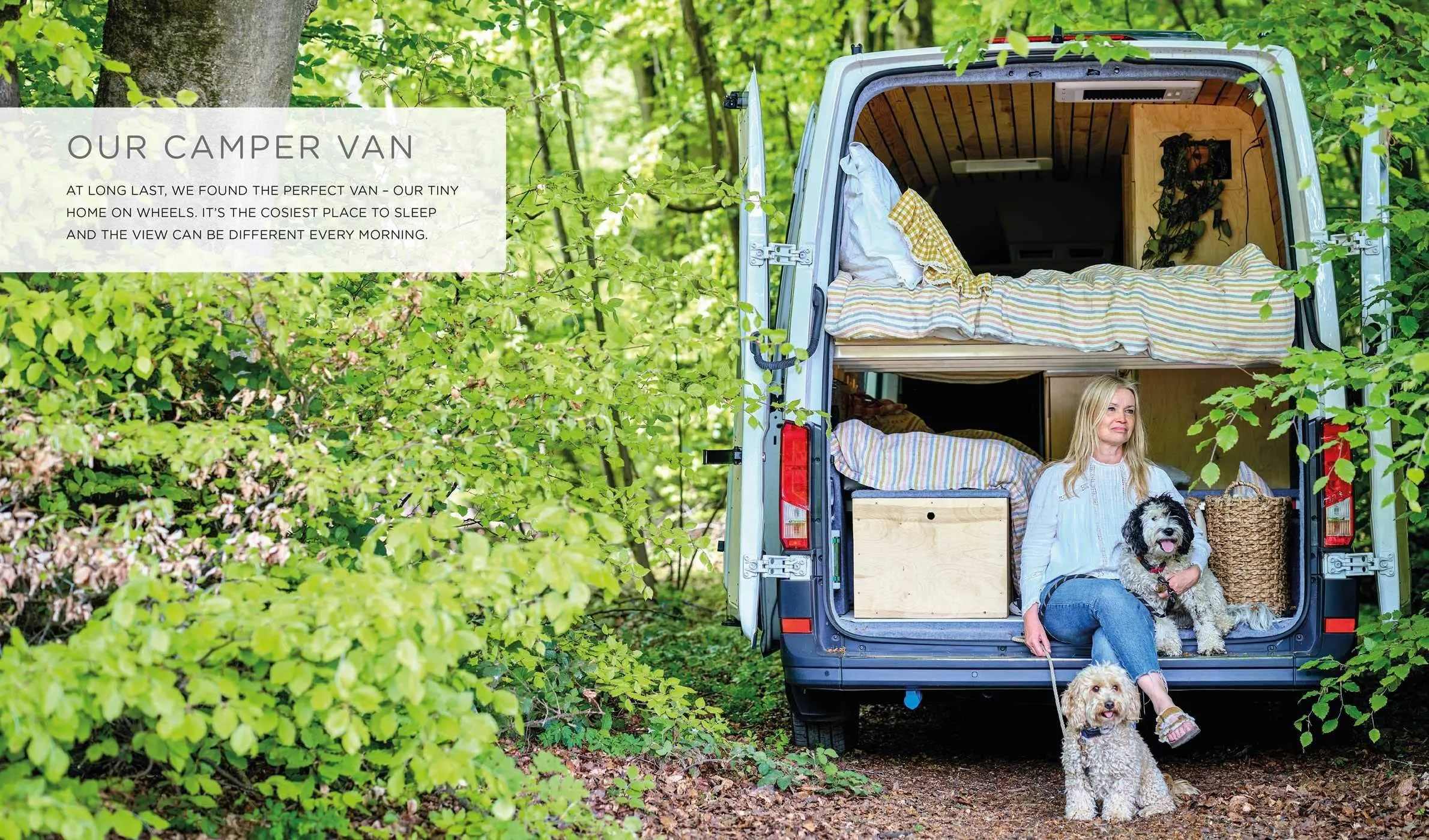 Camper Heaven: Van Life on the Open Road