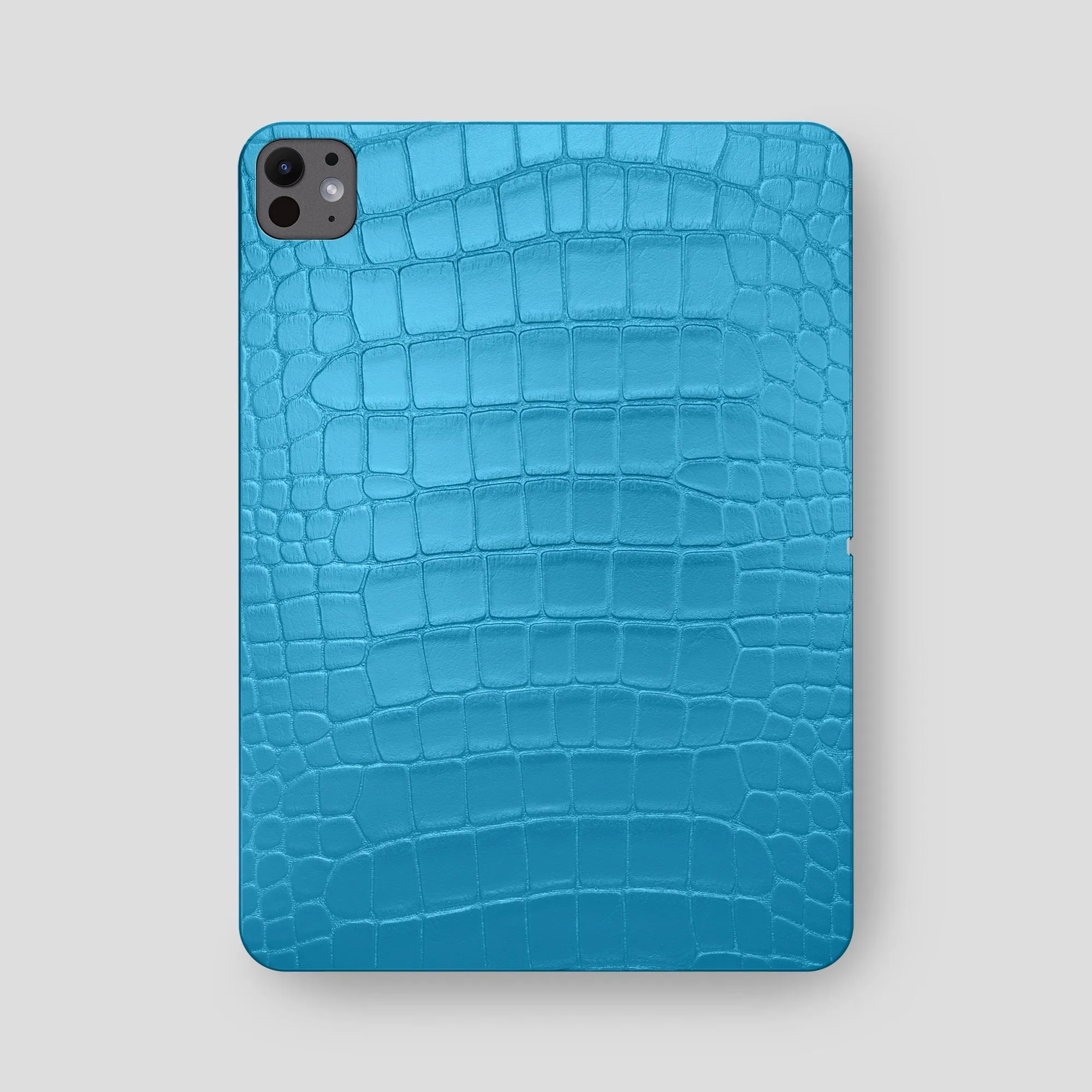 Case For iPad Pro 13-inch (7th gen) In Alligator