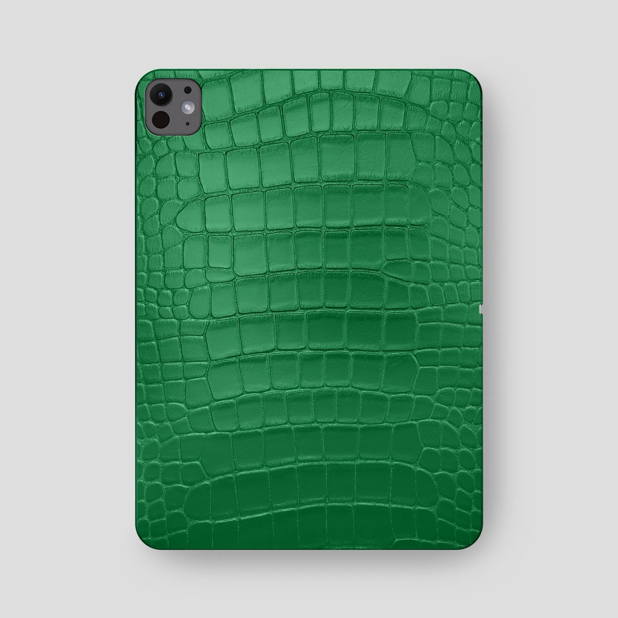 Case For iPad Pro 13-inch (7th gen) In Alligator