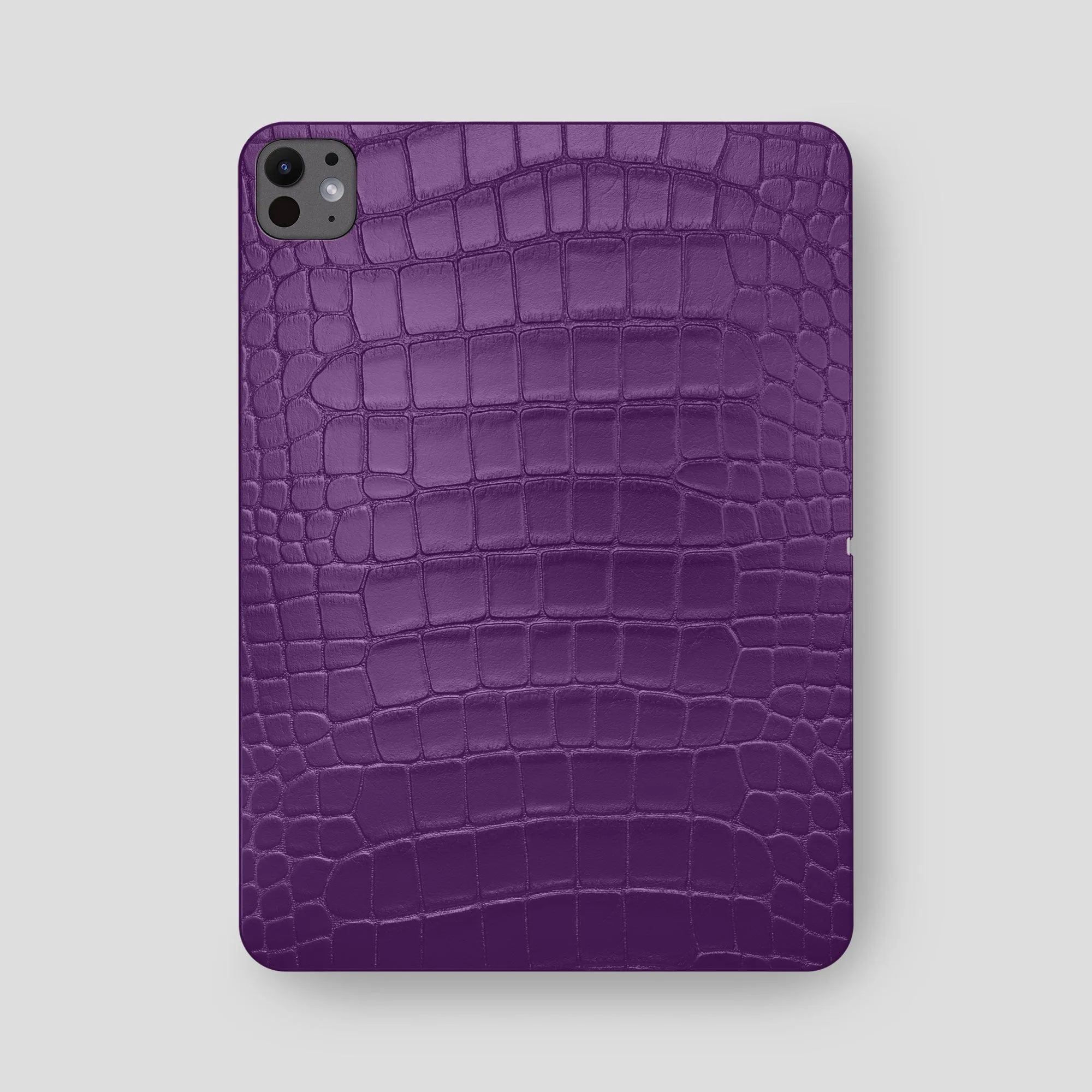 Case For iPad Pro 13-inch (7th gen) In Alligator