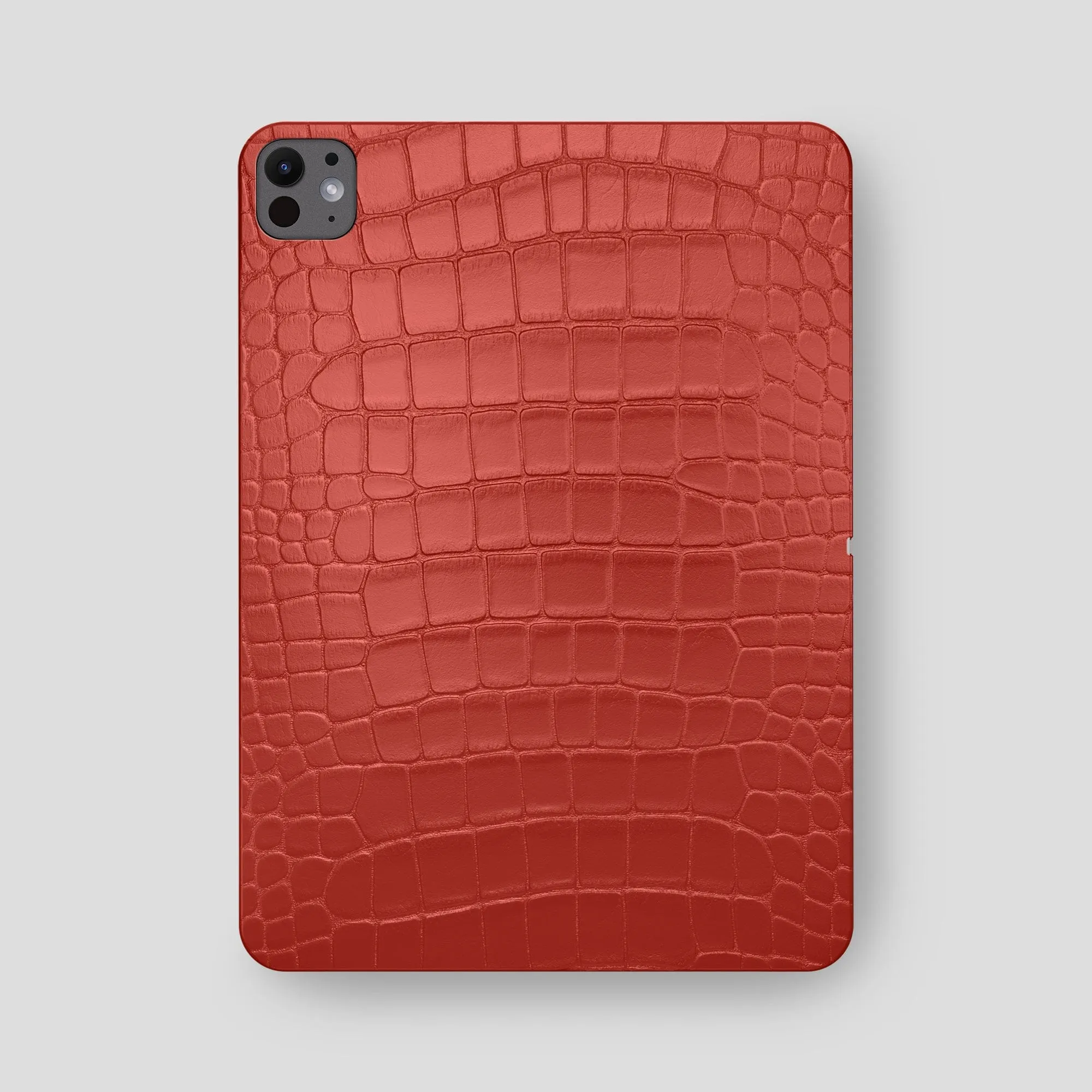 Case For iPad Pro 13-inch (7th gen) In Alligator