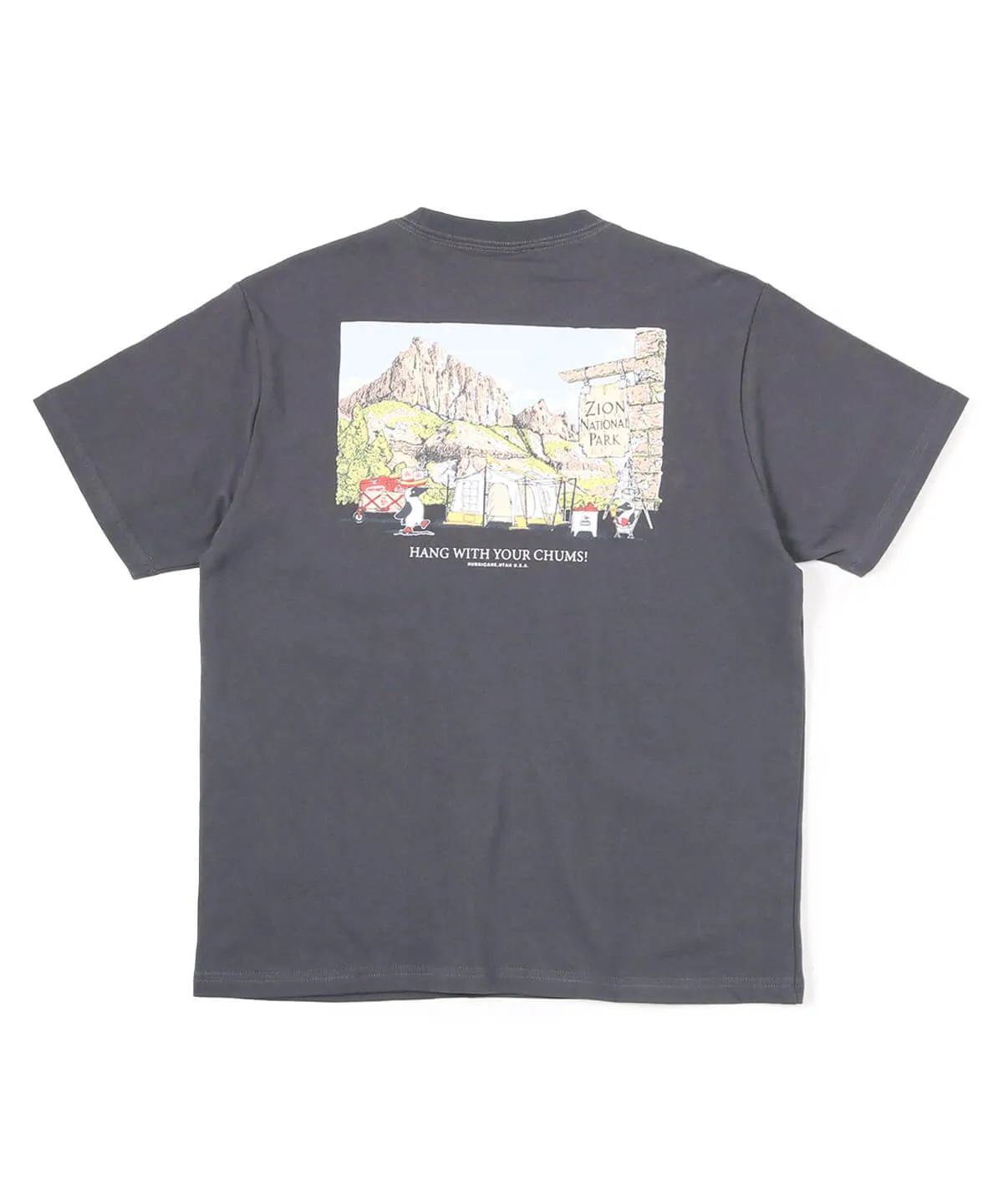 CHUMS Zion Camping T-Shirt