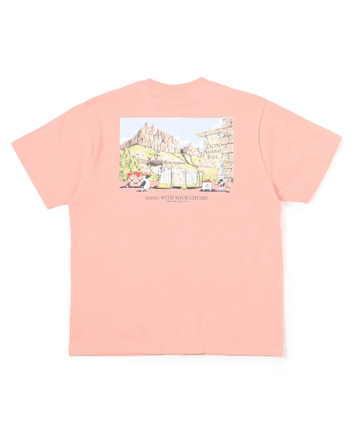 CHUMS Zion Camping T-Shirt