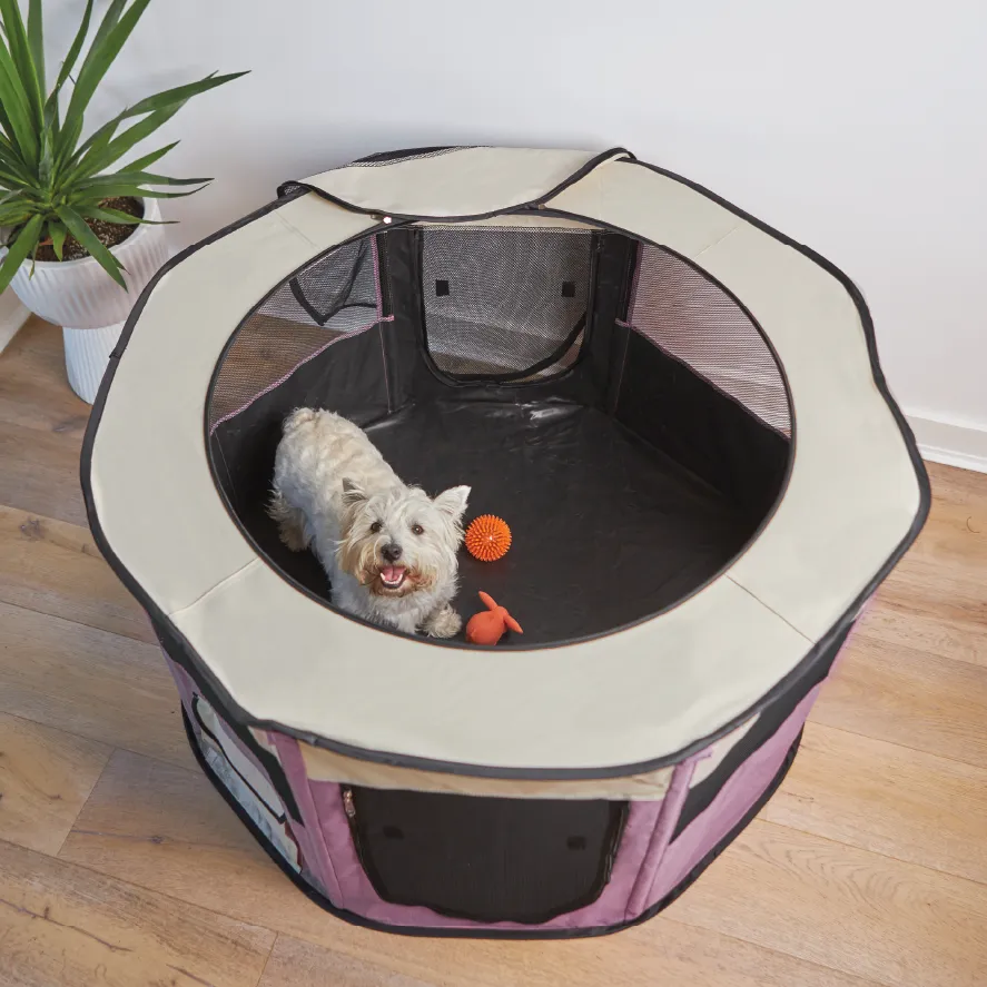 Kazoo Foldable Pet Playpen