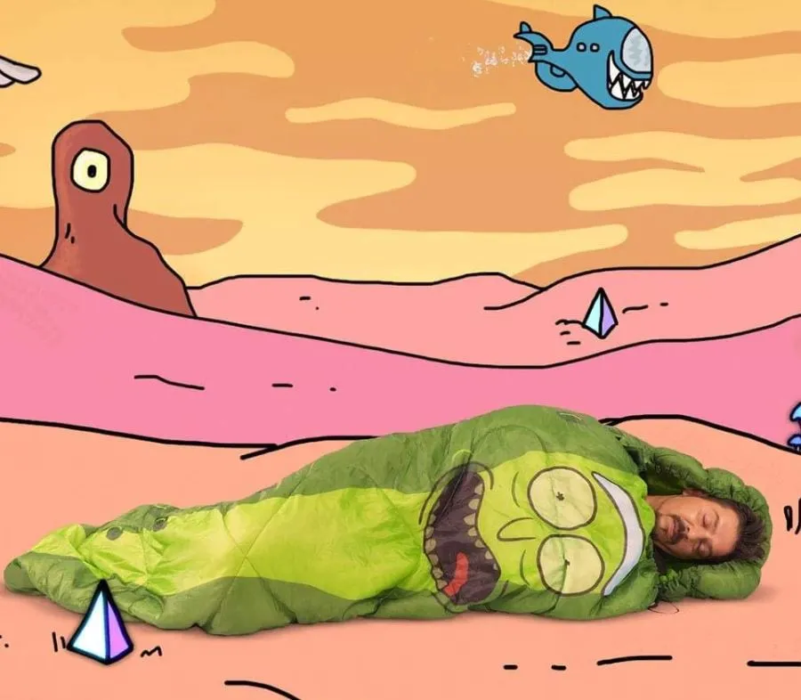 RICK AND MORTY PICKLE RICK SLEEPING BAG W/ CARRY CASE